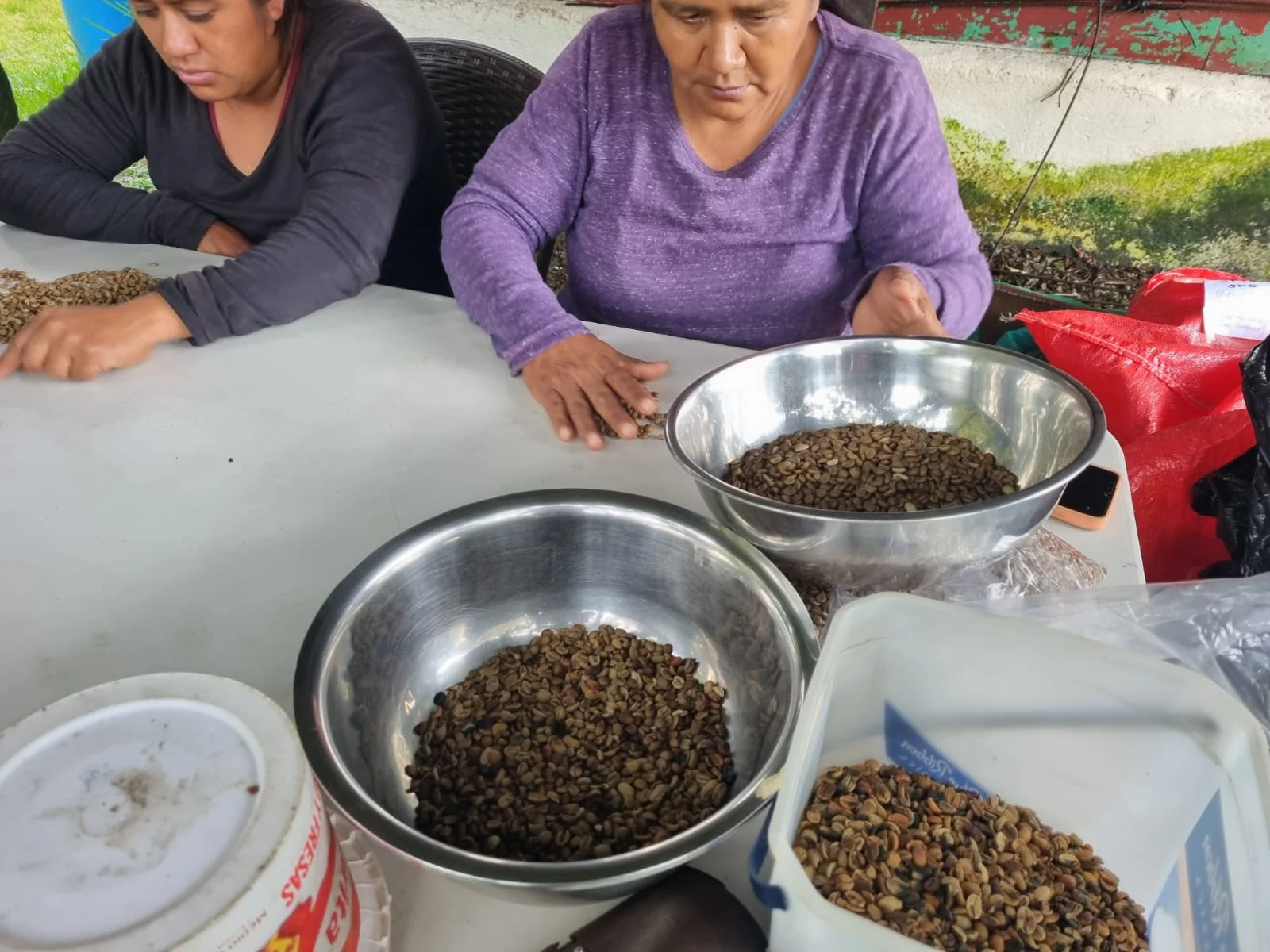 Selección de café durante su procesamiento